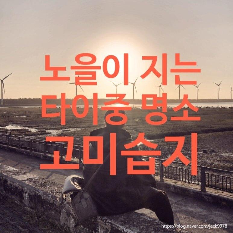 타이중 시내 반나절 투어 (국가가극원·무지개마을·루체교회·고미습지) 사진 27
