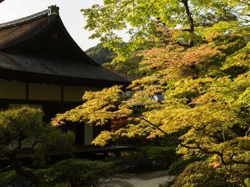 2026년 11월 출발 팬스타 미라클호 오사카·고베·나라 한일 크루즈 4박 5일 사진 19
