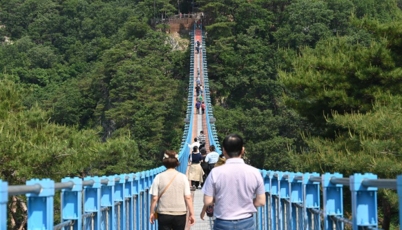 가보고 싶은 섬 남이섬·원주 1박 2일 사진 9