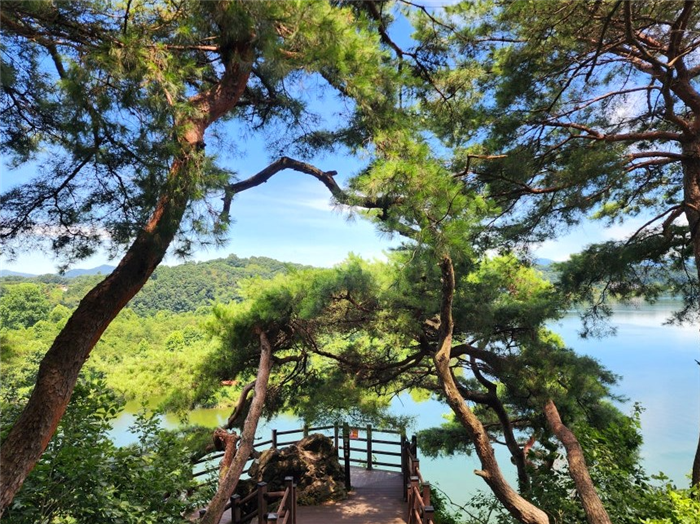 여유롭게 충북 / 옛스럽게 경북 힐링 여행 1박 2일 사진 8