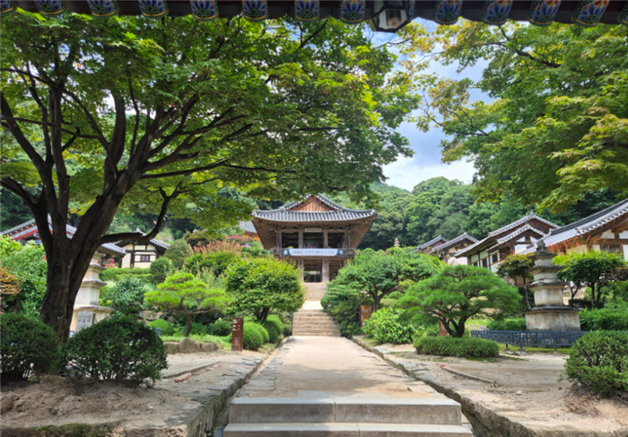 여유롭게 충북 / 옛스럽게 경북 힐링 여행 1박 2일 사진 5