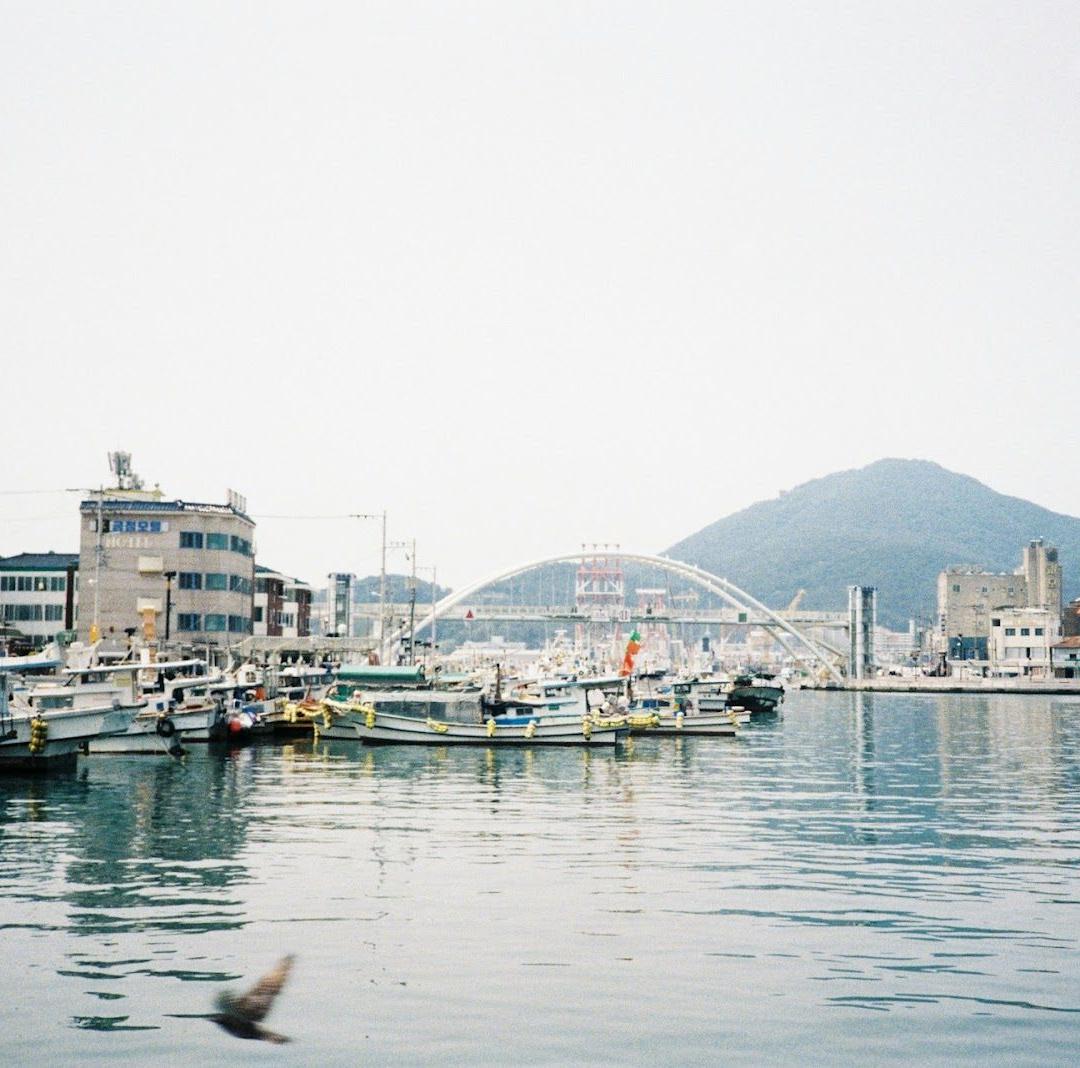 통영의 결 — 강구안 역사·문화 워킹투어 사진 2