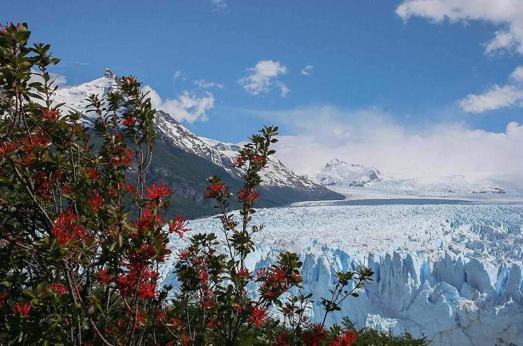 Perito Moreno Glacier · 아르헨티나 테마 관광 8박 12일