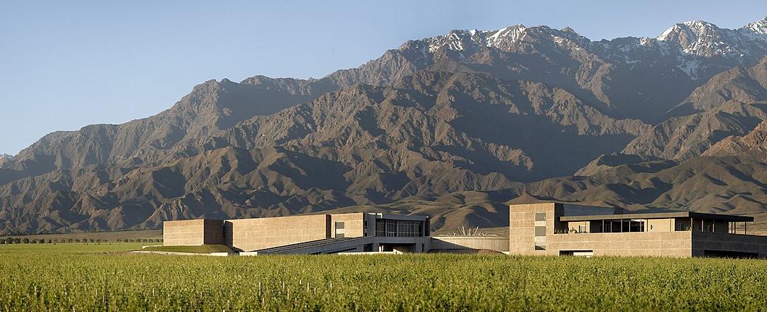 Mendoza vineyard Andes · 아르헨티나 테마 관광 8박 12일